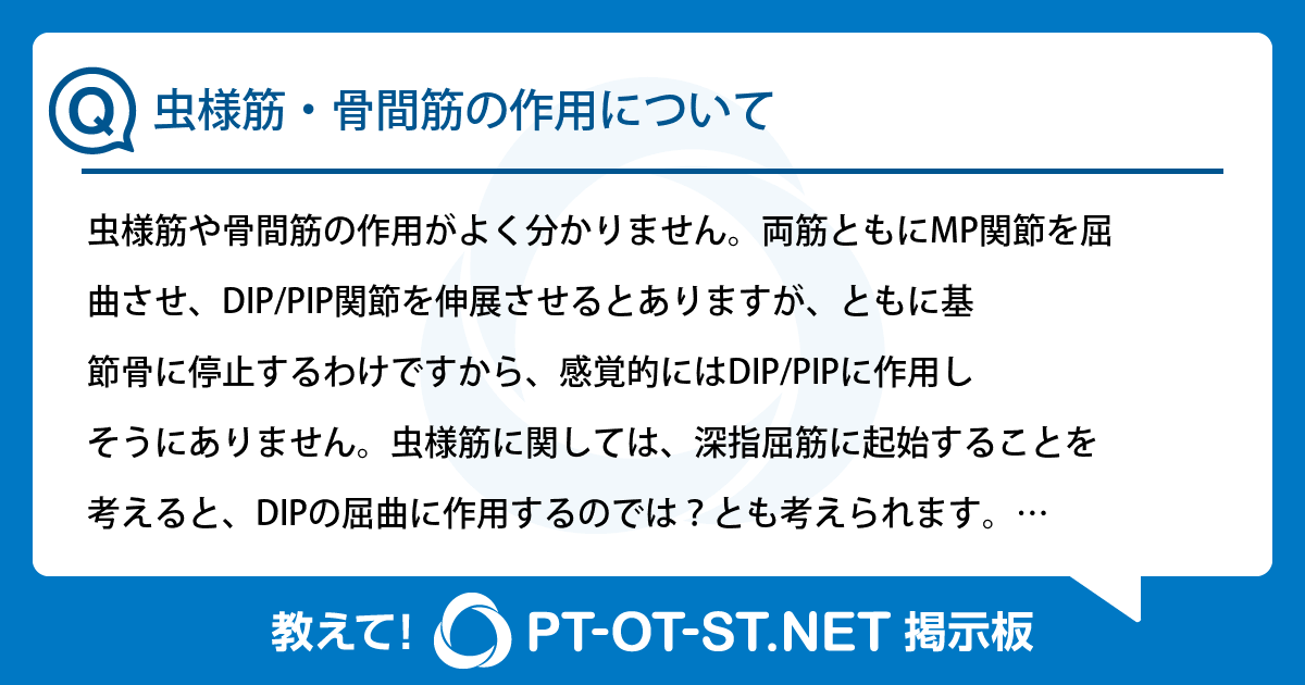 MP様ご確認用 しわり