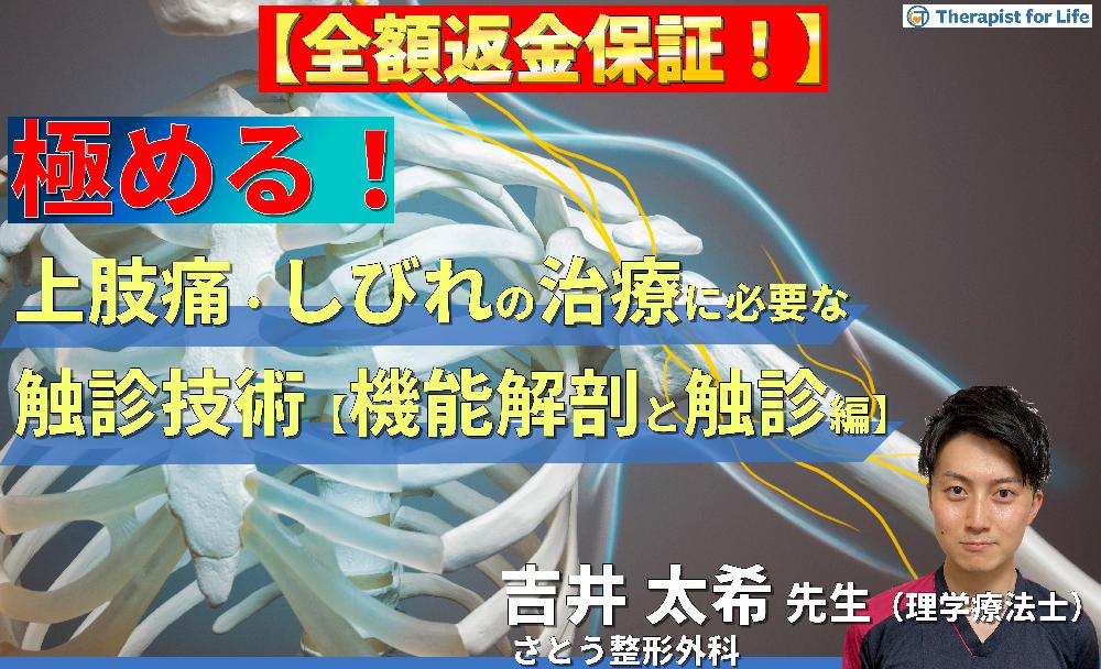 ハンドセラピー 上肢の機能解剖と触診 61r6WL9LVJL._UF350,350_QL80_.jpg
