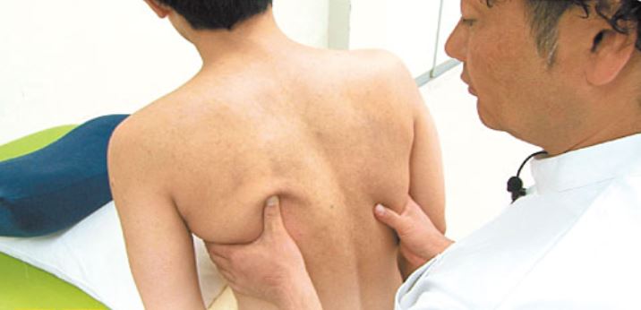 一般社団法人セラピストフォーライフ Pt Ot St Net