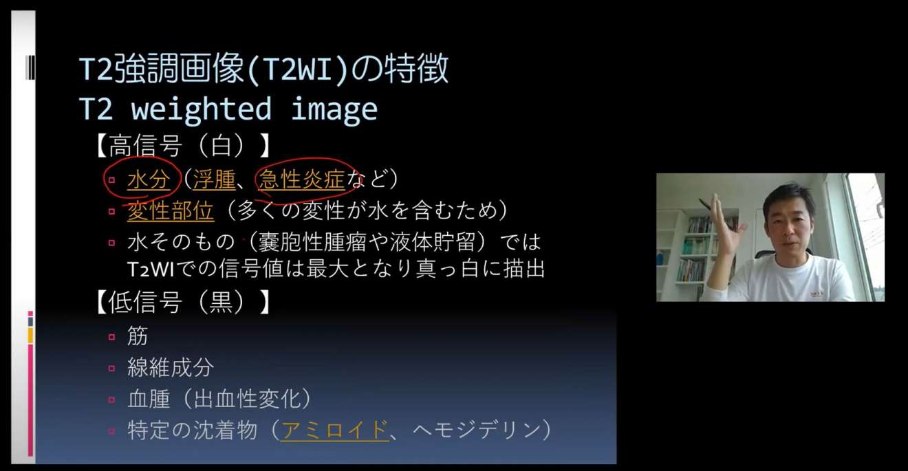 一般社団法人セラピストフォーライフ Pt Ot St Net