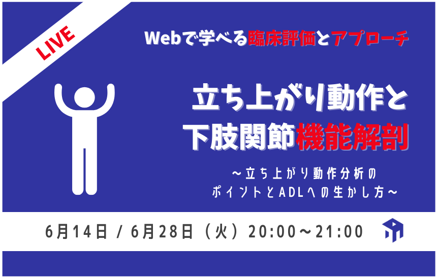 立ち上がり動作と下肢関節機能解剖 Pt Ot St Net