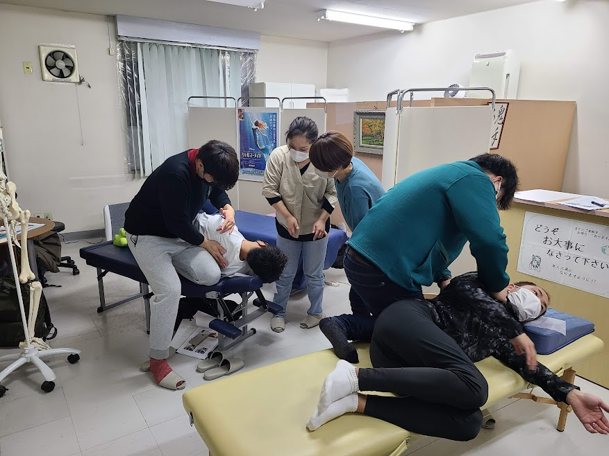 手技療法の基本 ~ 機能障害を特定する触診技術｜PT-OT-ST.NET