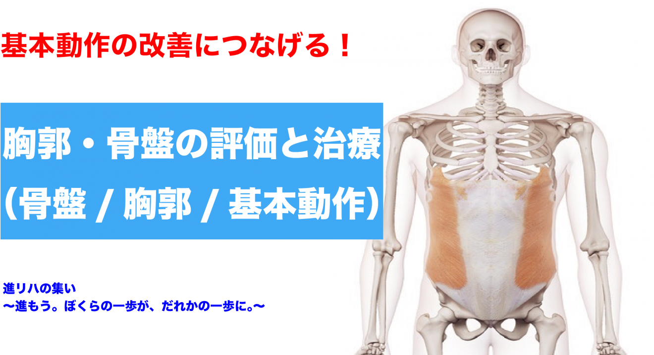 機能解剖学に基づいた腰痛の評価と治療 【DVD3枚組・分売不可】 限定版