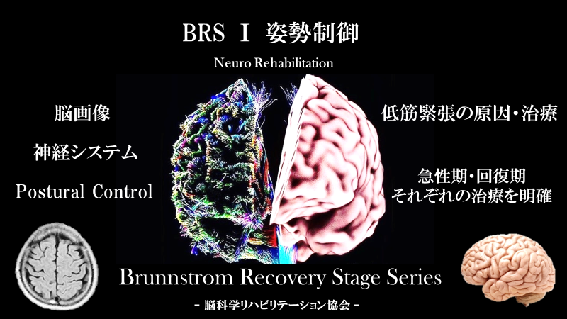 ＢＲＳ　脳科学　×　×　脳画像