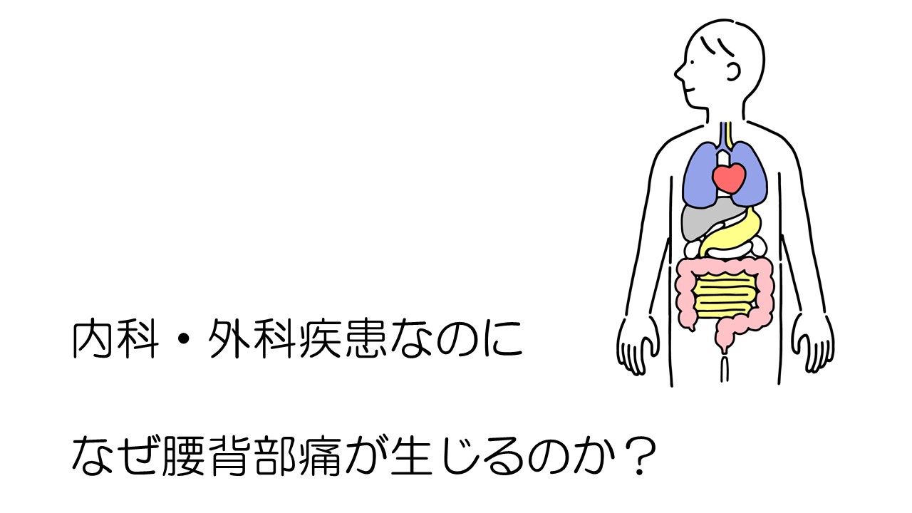 高齢者の腰背部痛に対するフィジカルアセスメント ~内科・外科疾患由来の痛みやすぐに受診を勧めるべき鑑別思考~|PT-OT-ST.NET