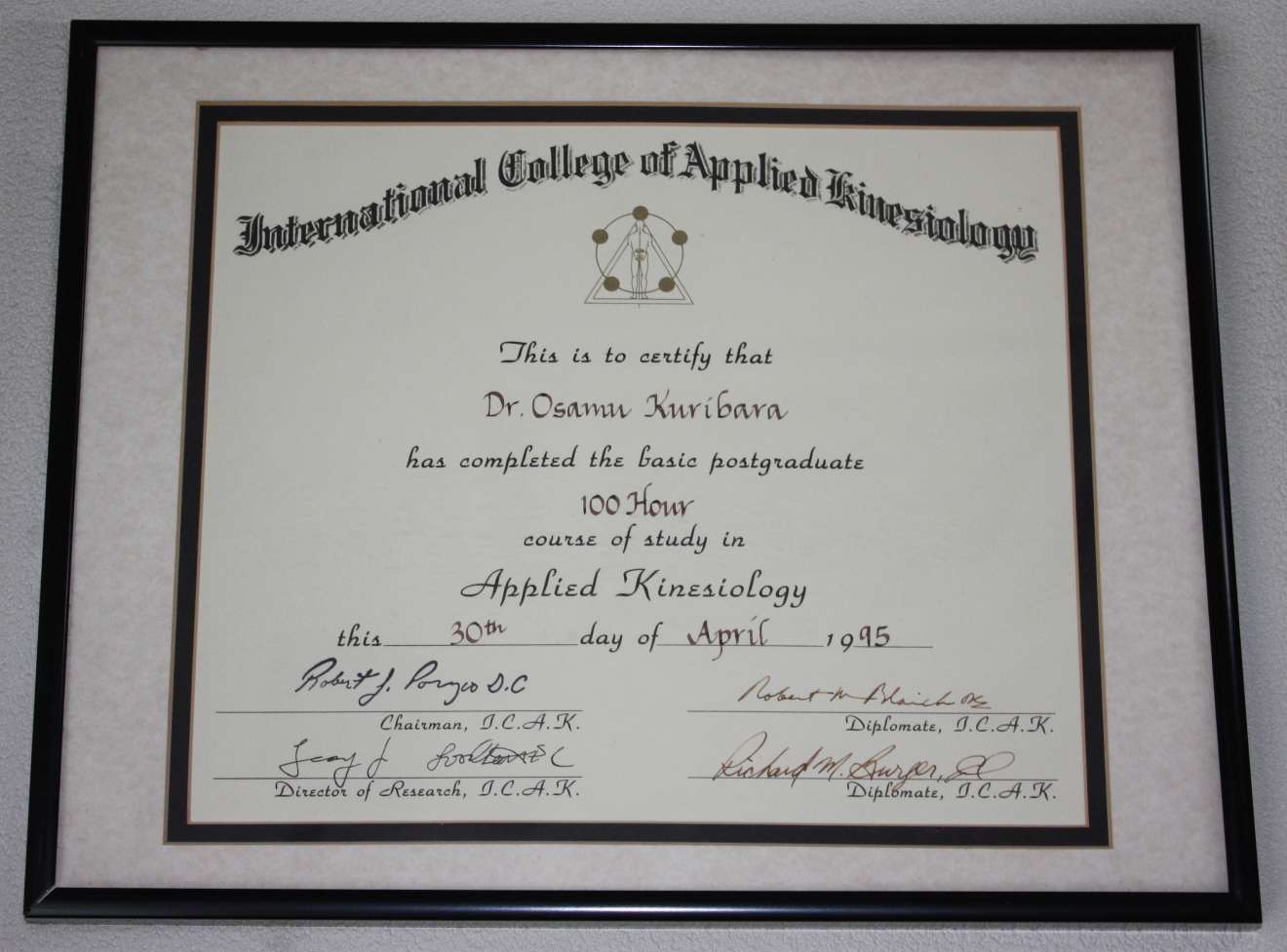 アプライドキネシオロジー フローチャート マニュアル AK勉強会 2024