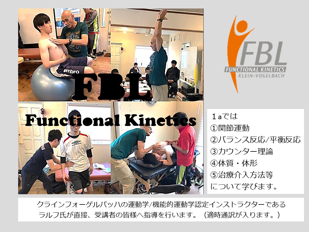 機能的運動療法 : クラインフォーゲルバッハのリハビリテーション 基礎