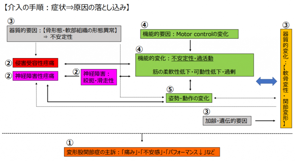 腰痛変性疾患術後の理学療法ガイドジャパンライム 腰痛変性疾患術後の理学療法ガイドジャパンライム