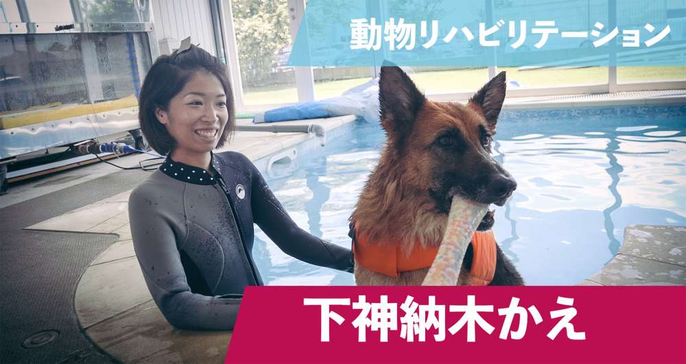 動物リハビリ」と「理学療法」下神納木かえインタビュー｜PT-OT-ST.NET